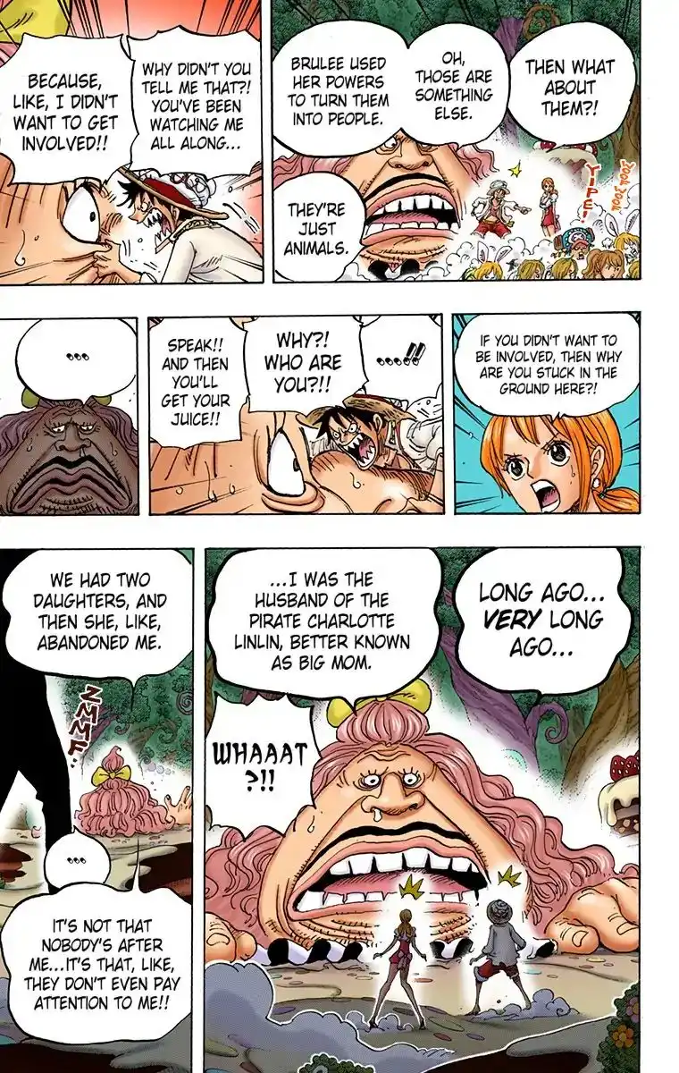 One Piece - Digital Colored Comics Chapter 835 17